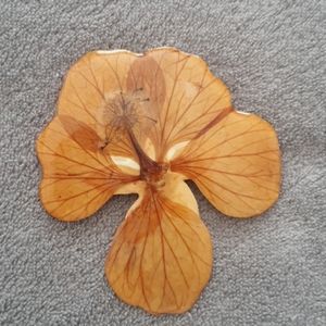 Beautiful signed brooch